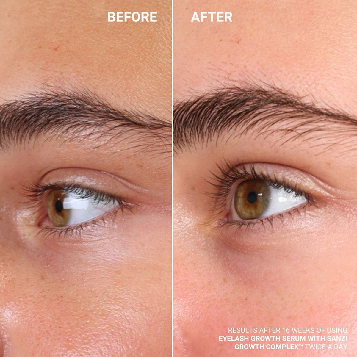 EYELASH GROWTH SERUM WITH SANZI GROWTH COMPLEX